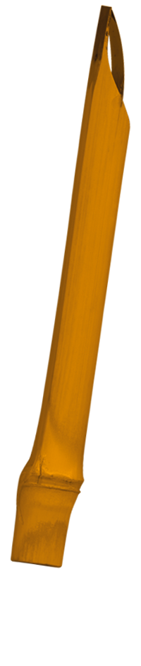 Cálamo o pluma de caña